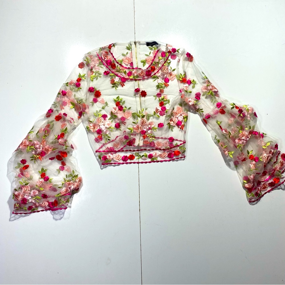 Banjul Floral Embroidered Cropped Sheer Statement Sleeves Fairy Core Top Size S